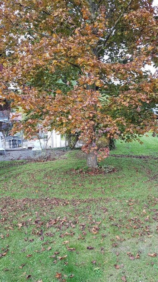 Hotel Kamps Ehrstädt Kültér fotó